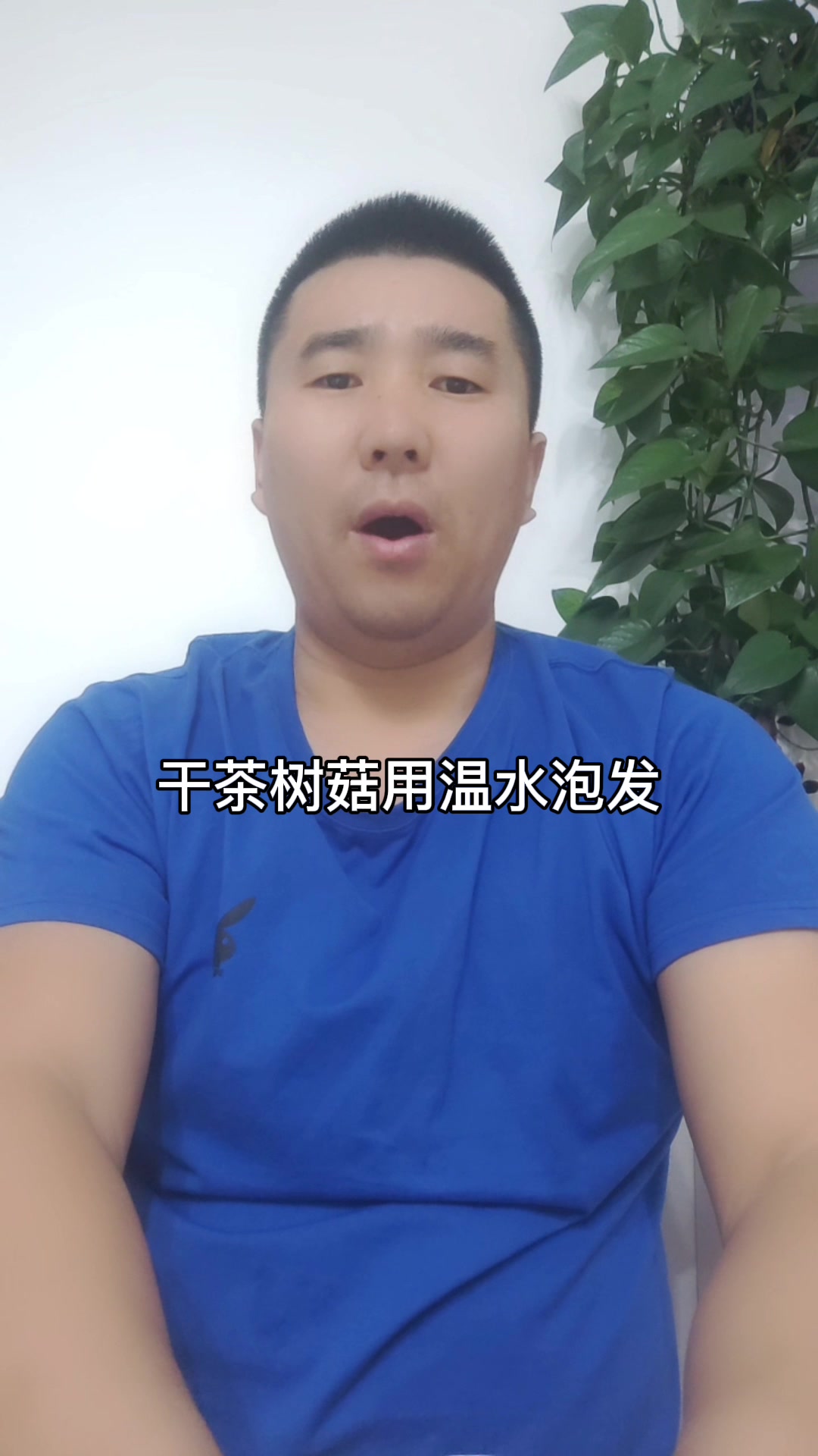 干茶树菇怎么泡发最好 