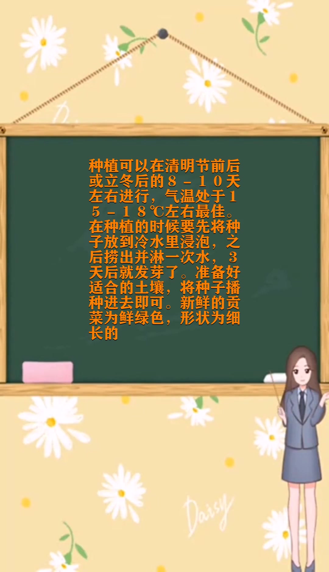贡菜种植技术和时间