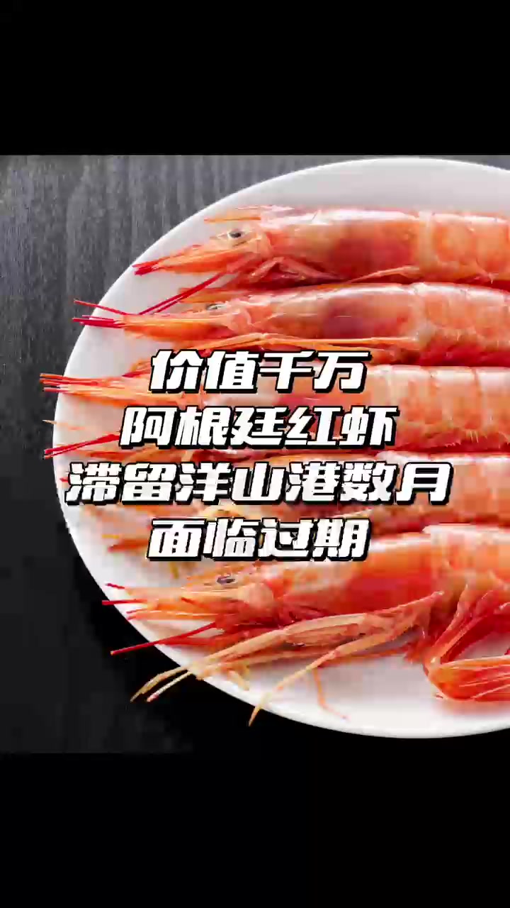 价值千万阿根廷红虾 积压洋山港数月终于变卖提存