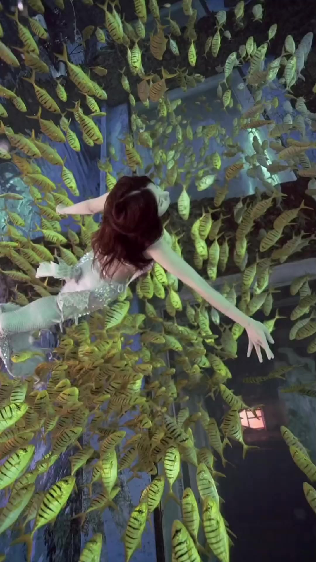 水下唯美的美人鱼,和一群鱼儿相映成趣,这画面太绝了