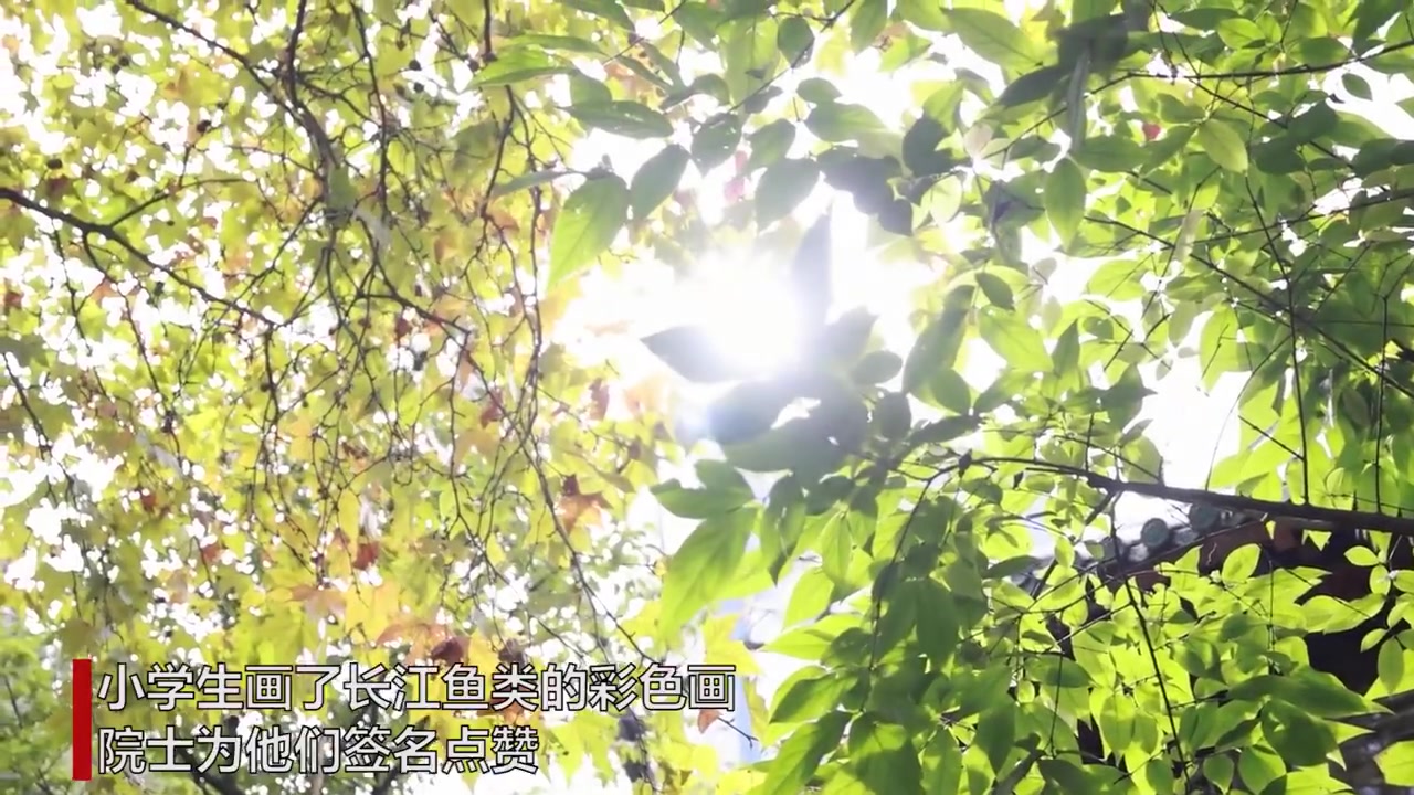 【中科院院士给小学生画作签名】9日,桂建芳院士自然科普工作室推出的第二季自然通识课第九课上