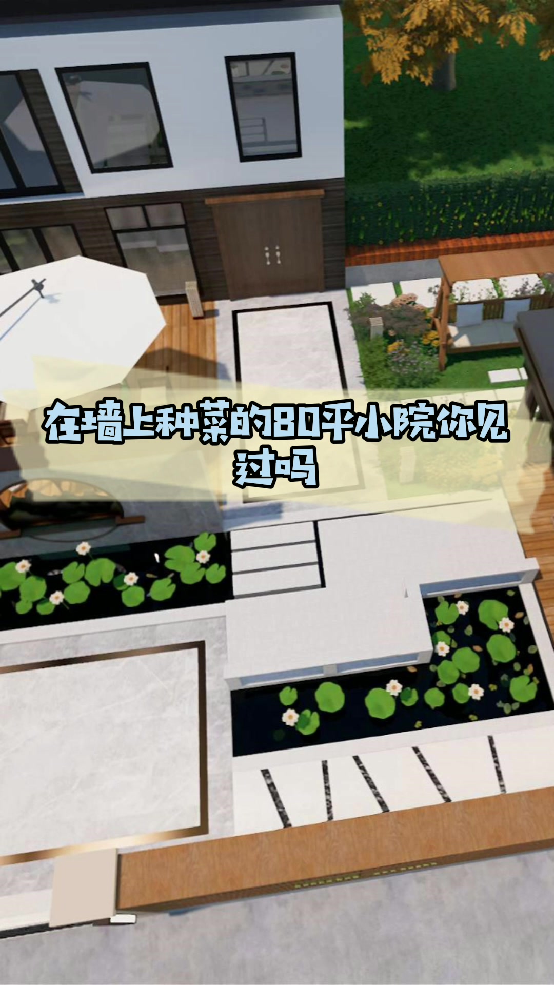 在墙上种菜的80平小院你见过吗