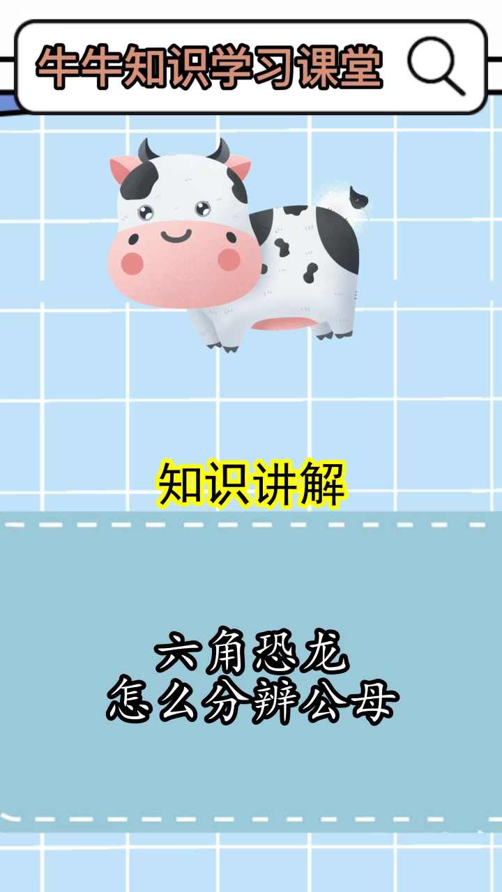 六角恐龙怎么分辨公母,你明白了吗