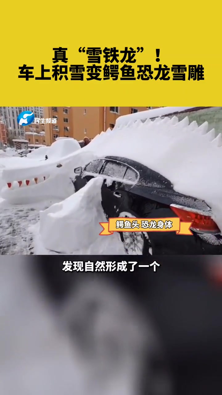 真“雪铁龙”!车上积雪变鳄鱼恐龙雪雕