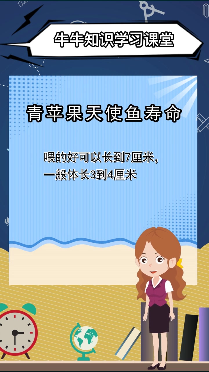 青苹果天使鱼寿命,你明白了吗