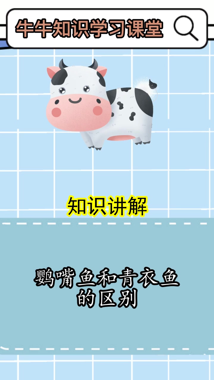鹦嘴鱼和青衣鱼的区别,你记住了吗