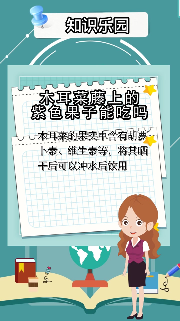 木耳菜藤上的紫色果子能吃吗,你看懂了吗
