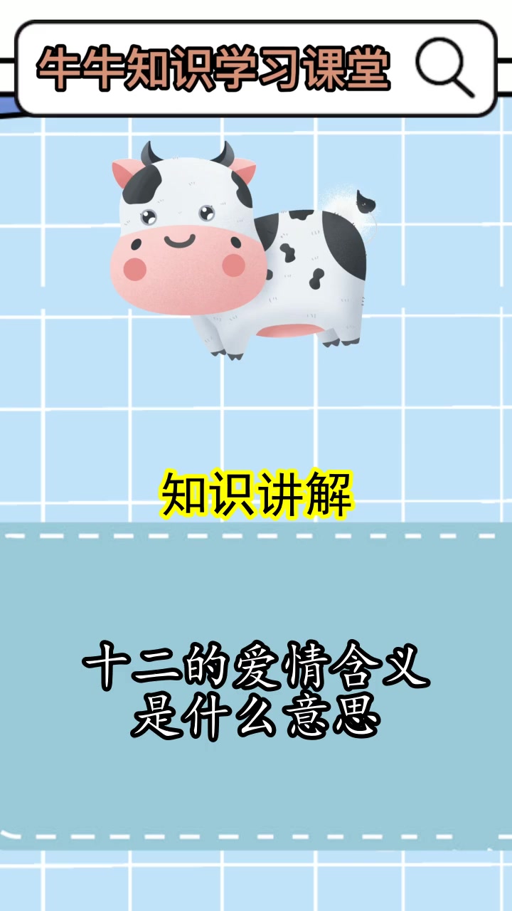 十二的爱情含义是什么意思,你听懂了吗