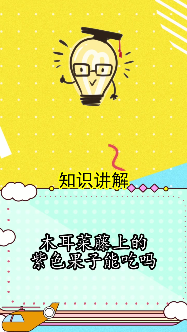 木耳菜藤上的紫色果子能吃吗,你学会了吗