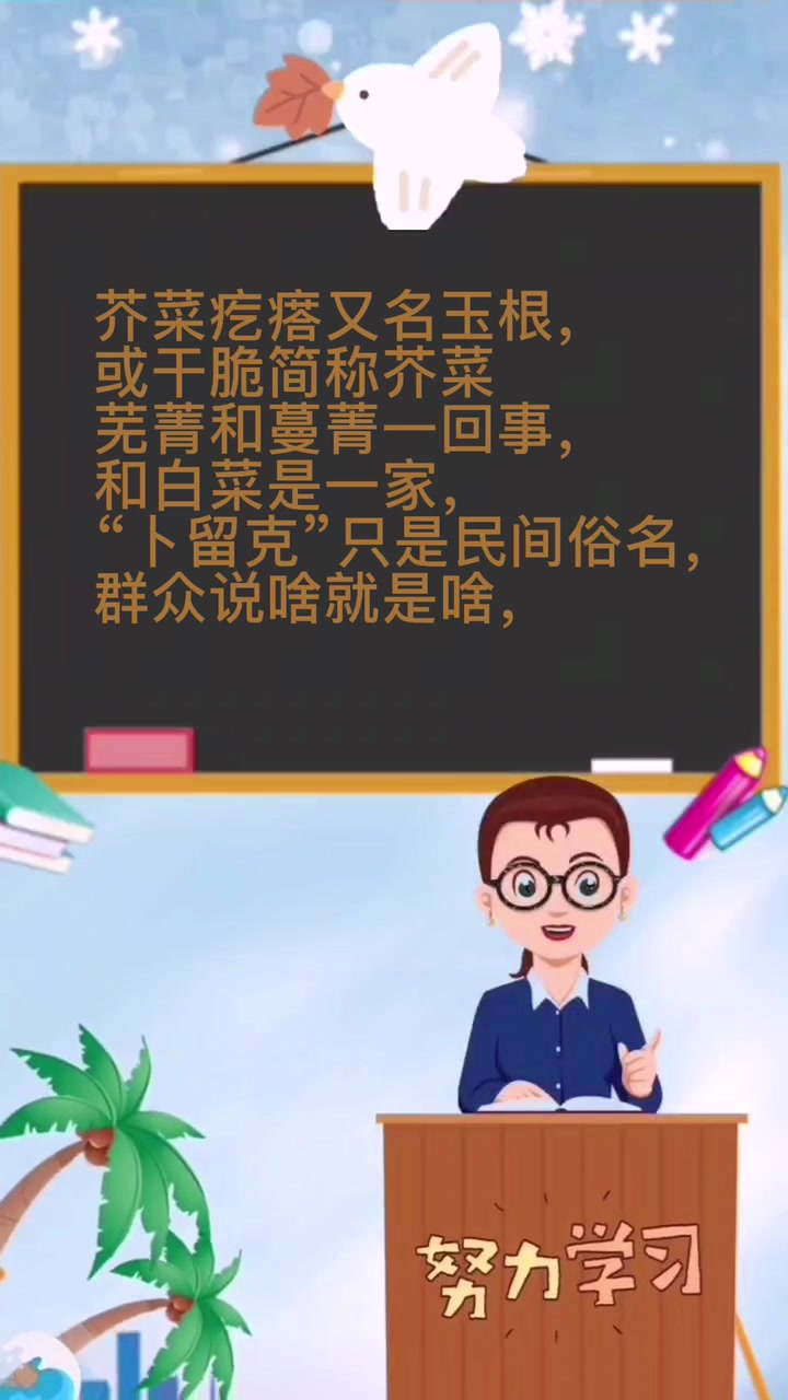 教你分清芥菜疙瘩、芜菁和“卜留克”