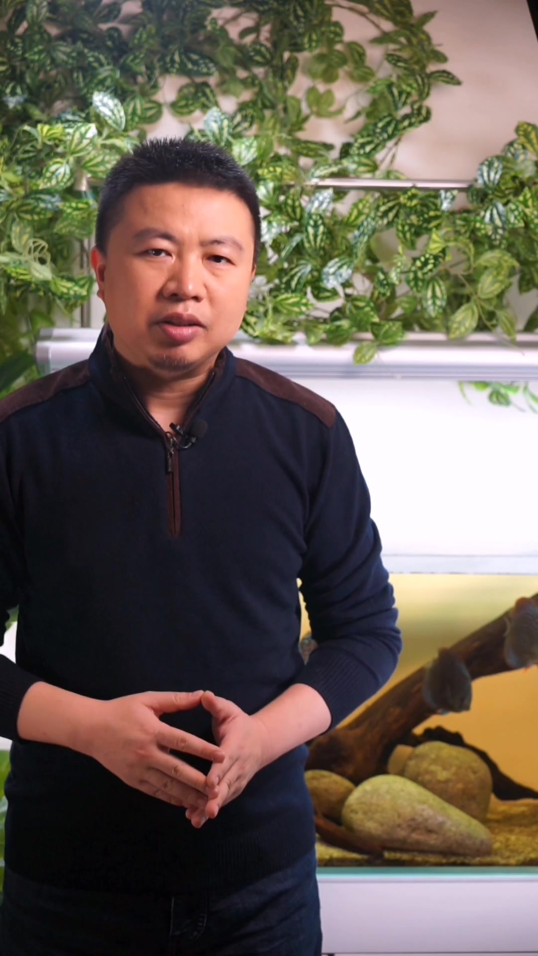 观赏鱼长白毛是怎么回事?水霉的原因及治疗方法