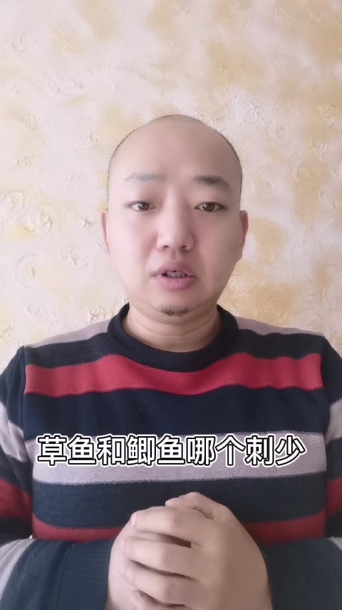草鱼和鲫鱼哪个刺少