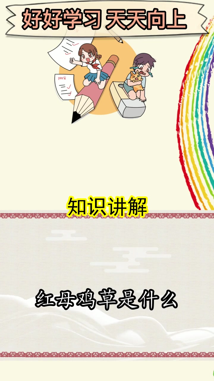 红母鸡草是什么