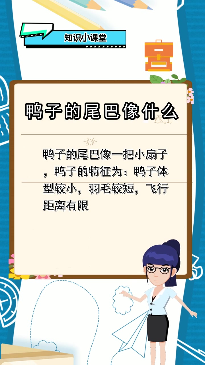 鸭子的尾巴像什么