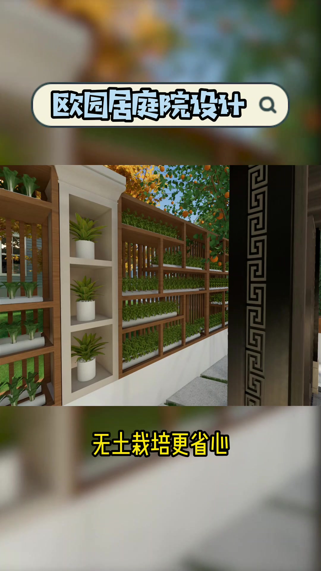 50平小院教你打造梦幻菜园