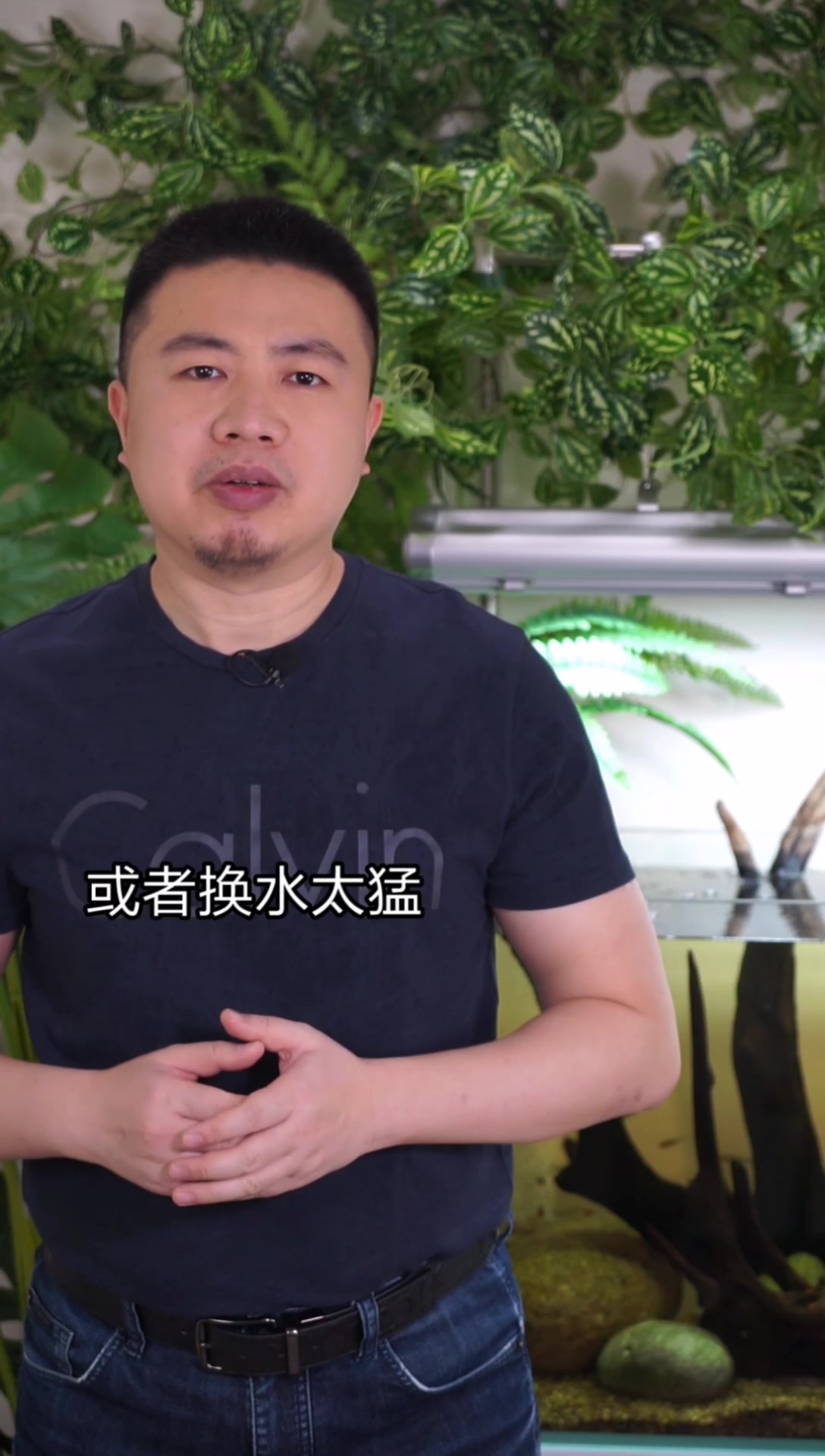 鱼趴在缸底不爱动不吃食,是什么原因,怎么办?