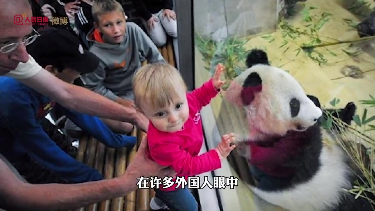 【科普!为什么总青睐大熊猫当吉祥物?】盼盼、福娃晶晶、进宝、冰墩墩,这些耳熟能详的名字,都