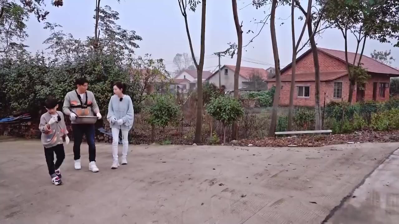 这一届的鹅太难带了,给抓一下都不行,又不吃你,大鹅也有自己的想法吗今晚七点, 金鹰卡通、麦