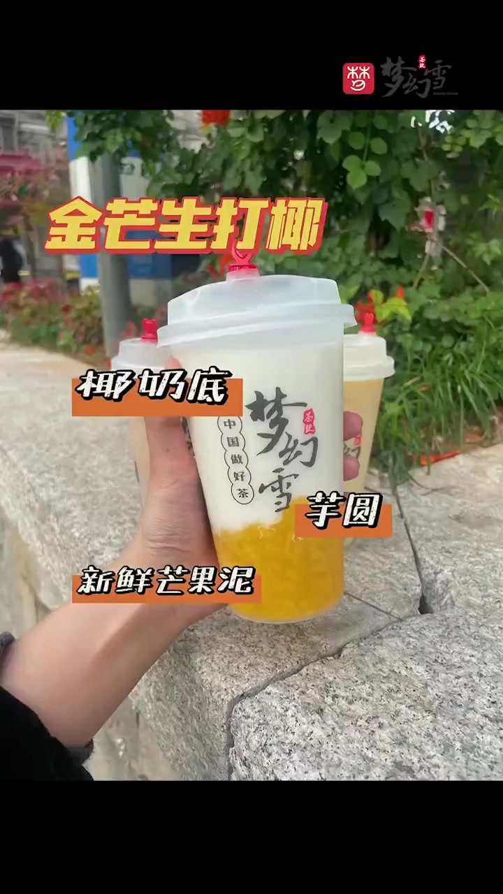 梦幻雪茶饮,国潮奶茶,快来尝尝吧