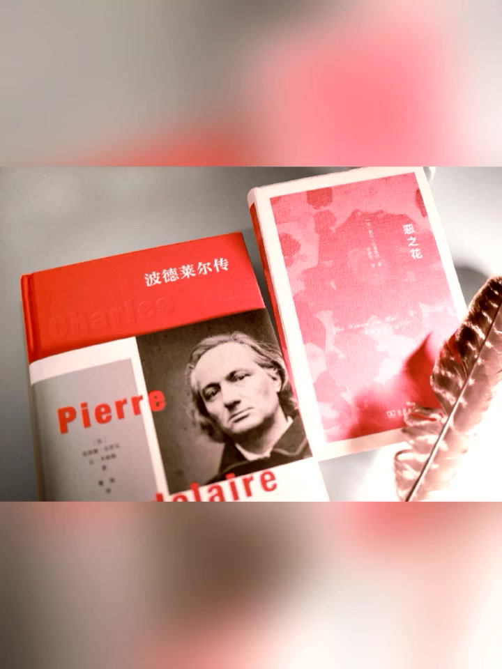 《波德莱尔传》:还原现代派大师波德莱尔一生,再现西方百年文学艺术史