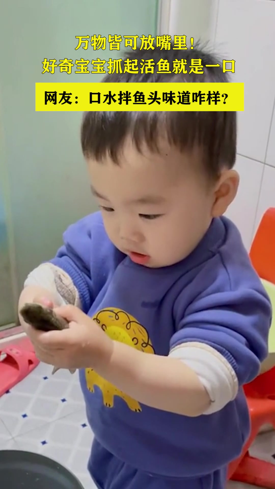 万物皆可放嘴里!好奇宝宝抓起活鱼就是一口