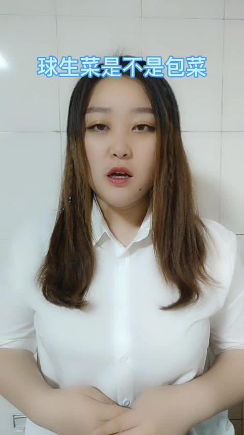 球生菜是不是包菜