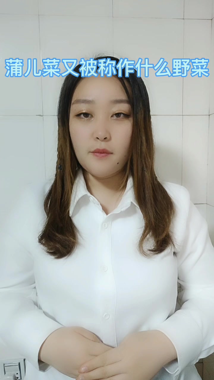 蒲儿菜又被称作什么野菜