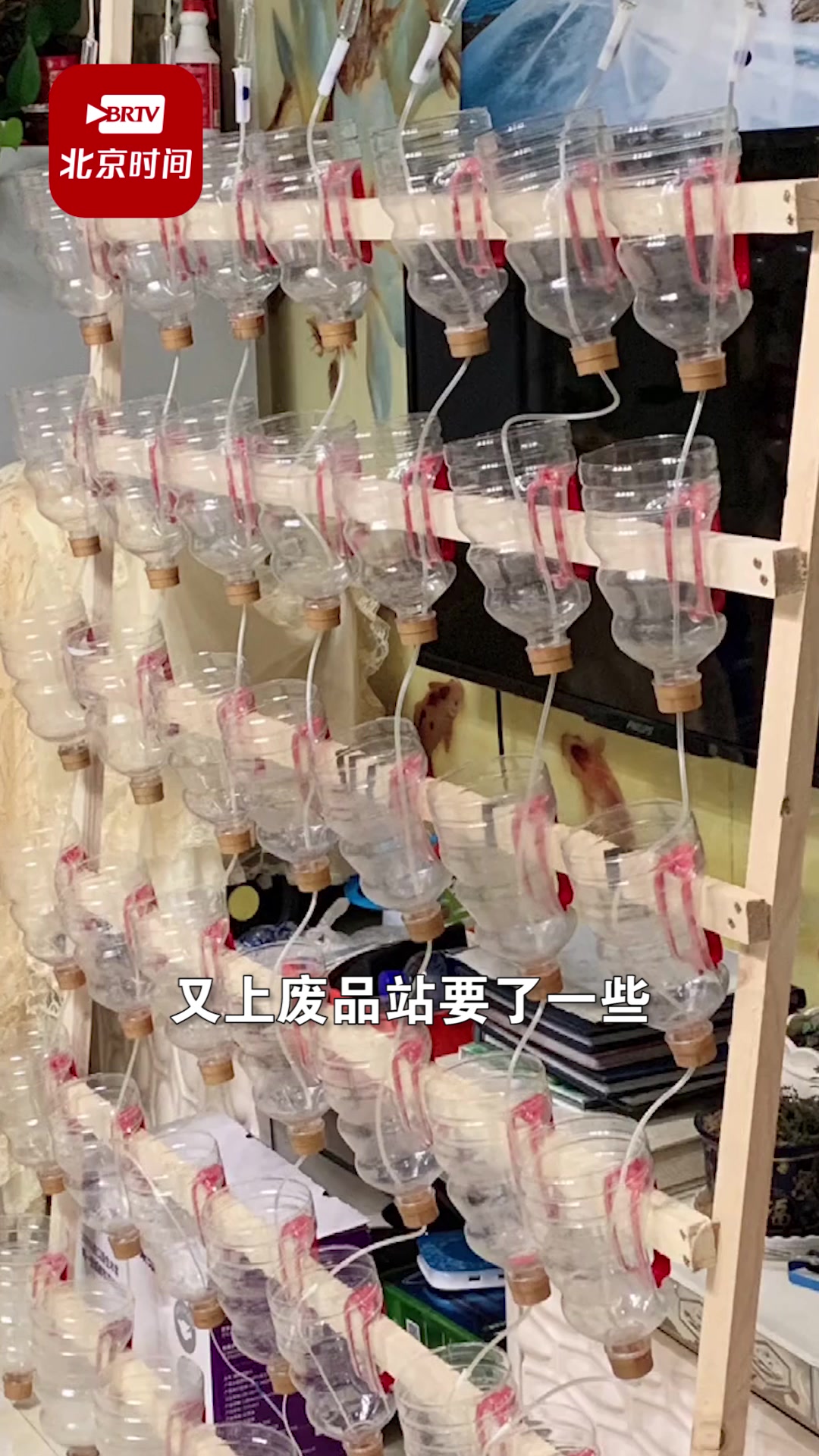 黑龙江男子阳台上自制自动浇水蔬菜架:让媳妇和儿子冬天吃上新鲜菜