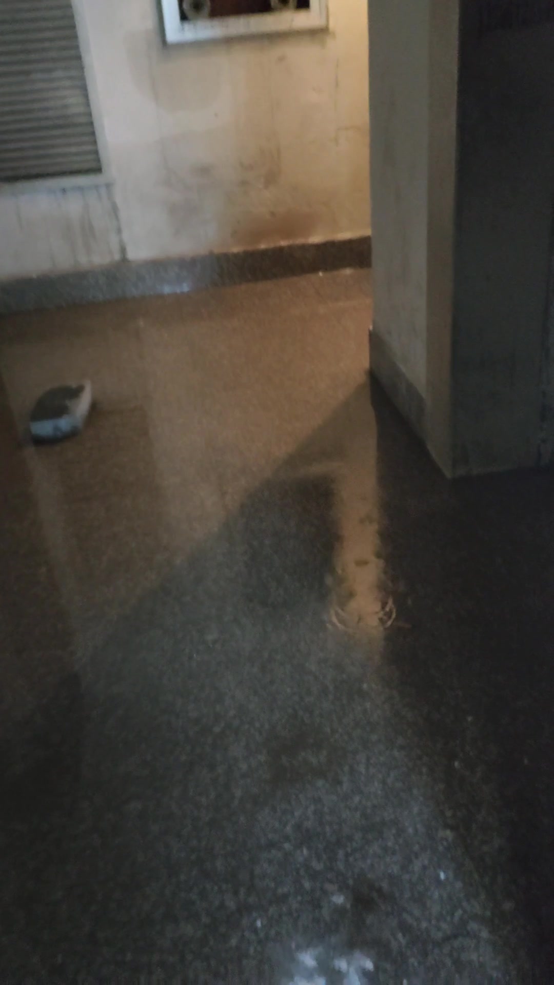 辽宁营口鲅鱼圈宋屯新区