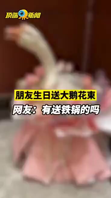 【朋友生日送大鹅花束竟是因为贫穷】朋友生日送大鹅花束,当事人回应称,因某品牌小天鹅项链太贵