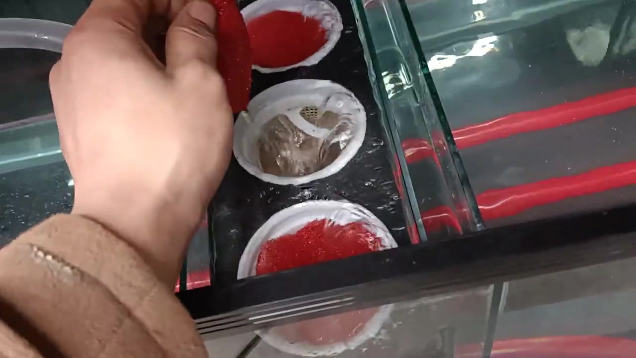 150×50现货黑色款底滤缸,四角溢流+鱼马桶 