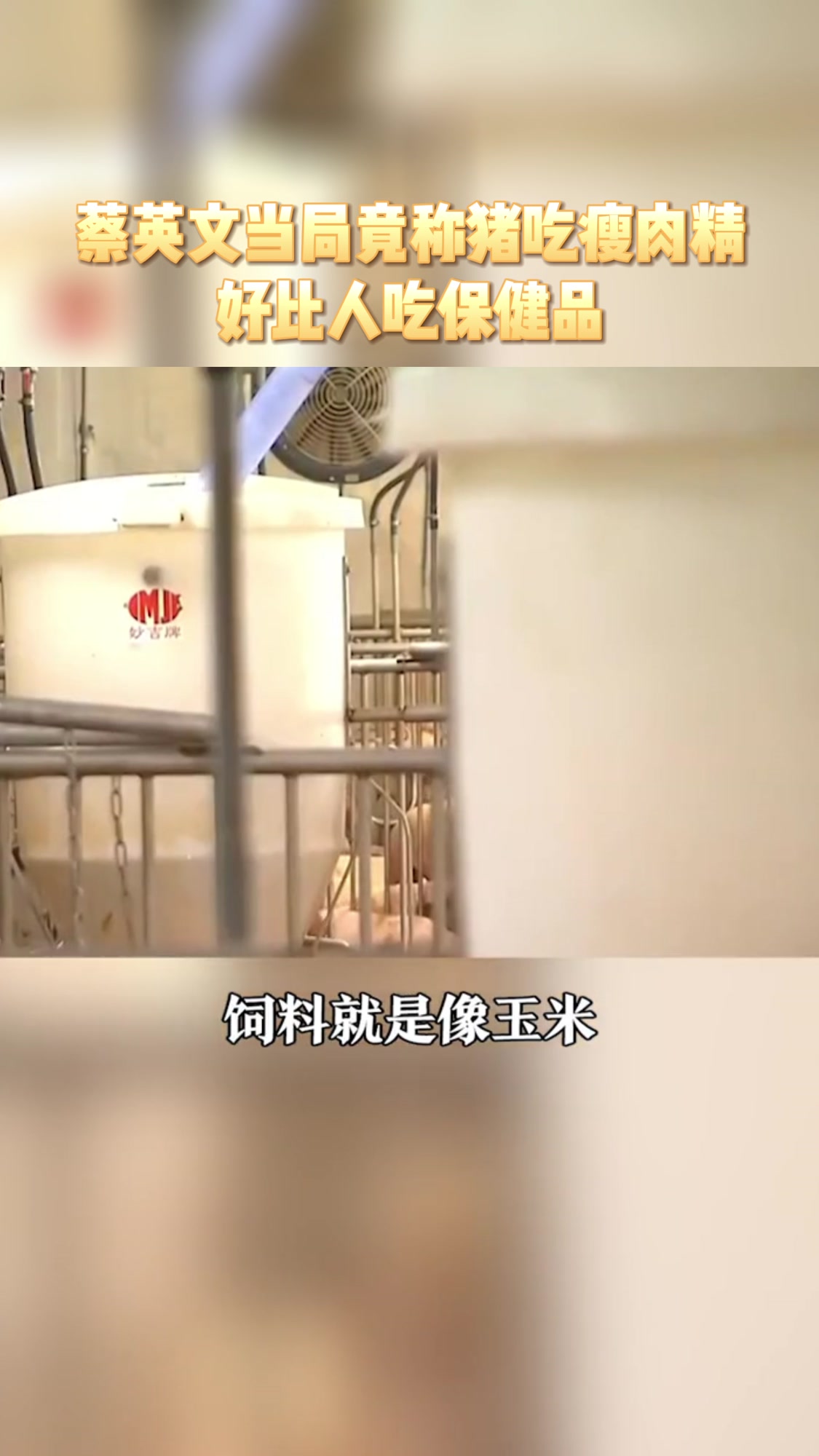 蔡英文当局竟称猪吃瘦肉精,好比人吃保健品