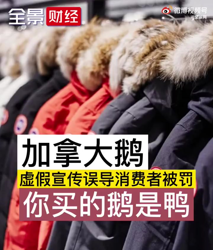 【加拿大鹅处罚决定书简直是羽绒服购买指南 你花大价钱买的加拿大鹅是鸭!】近日,加拿大鹅 因