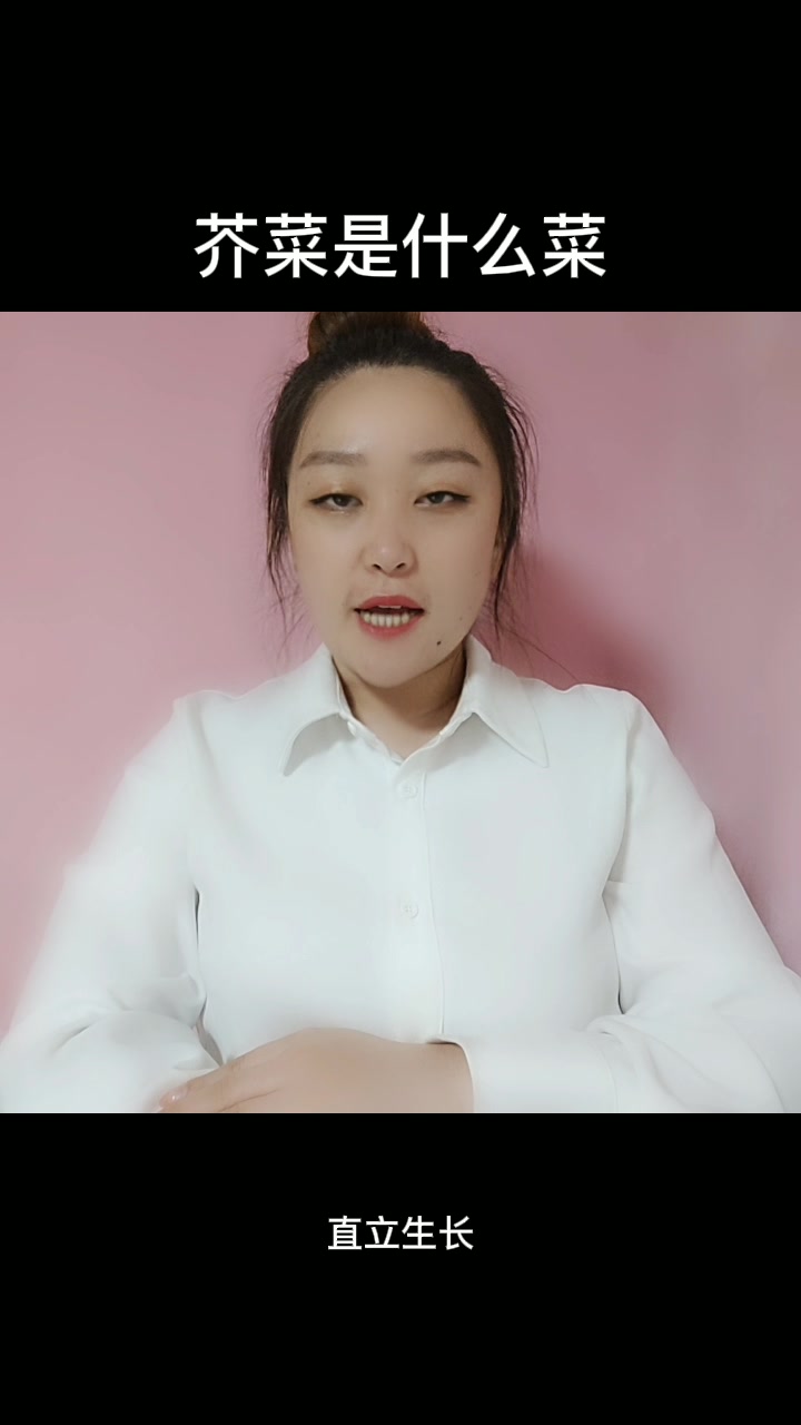 芥菜是什么菜  