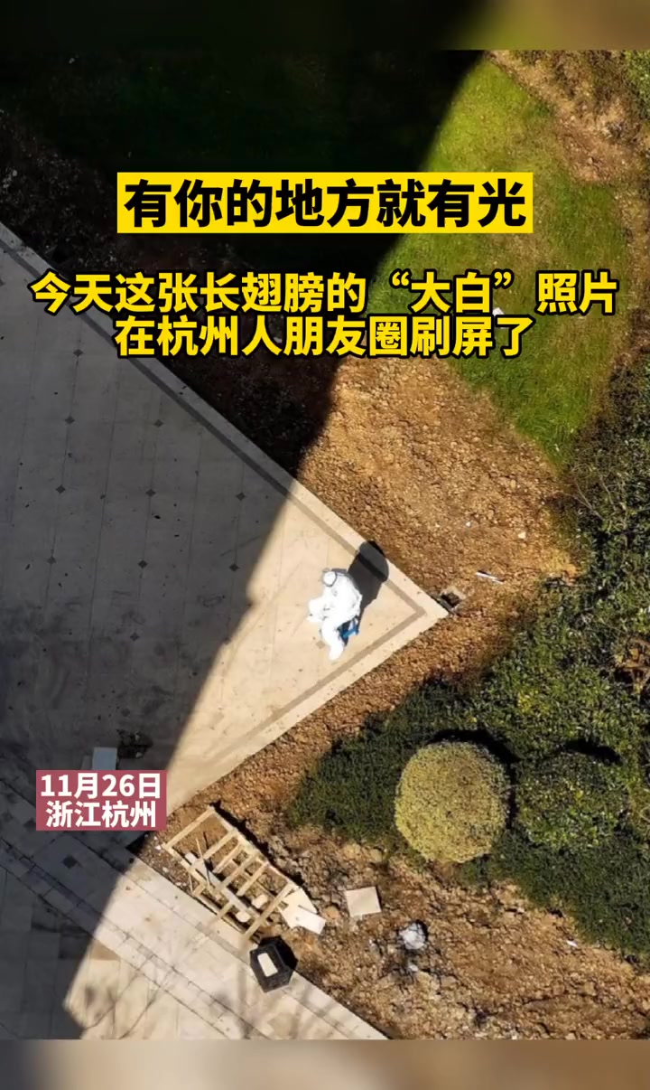 有你的地方就有光!今天,这张长翅膀的“大白”照片在杭州人朋友圈刷屏了