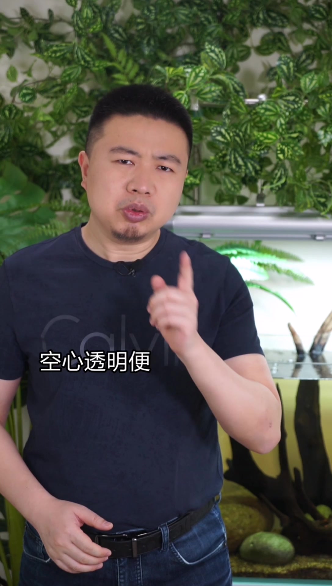 观赏鱼不吃东西排便不正常,可能是肠炎,教你怎样治疗