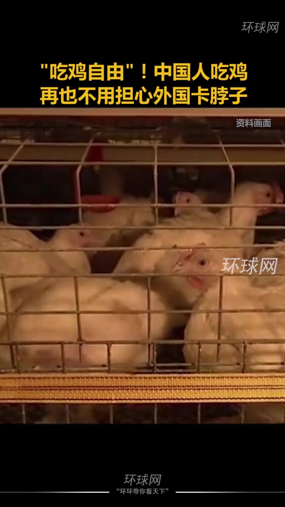 吃鸡自由!中国人吃鸡再也不用担心外国卡脖子,我国首批自主培育的白羽肉鸡品种结束公示