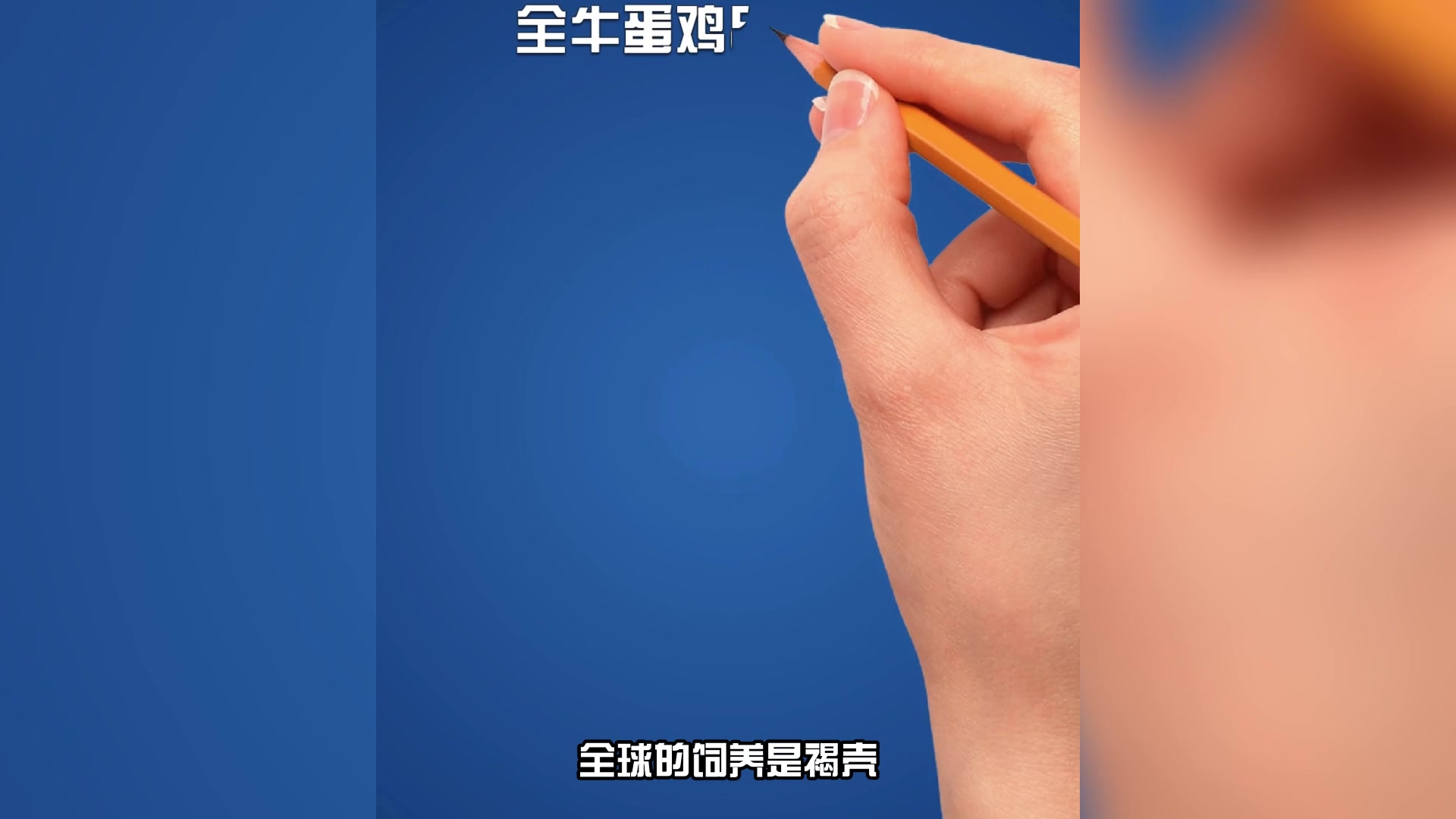 养啥蛋鸡更赚钱?都有啥品种?我来给大家分析一下蛋鸡的优缺点