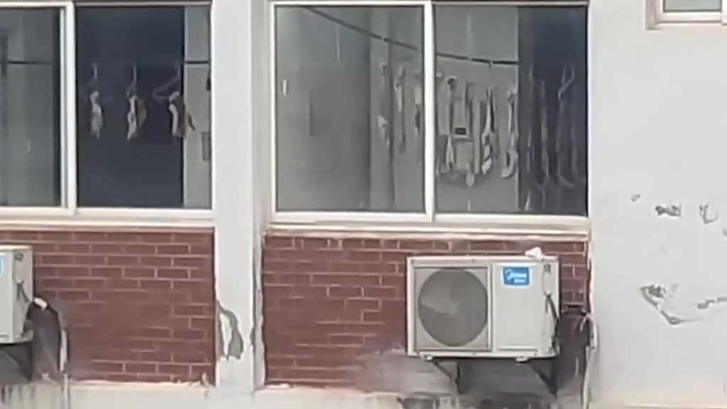 【江西一高校宿舍挂满腊肉同学被香哭:宿管阿姨挂的,做梦都想去偷吃[舔屏]】11月17日,江