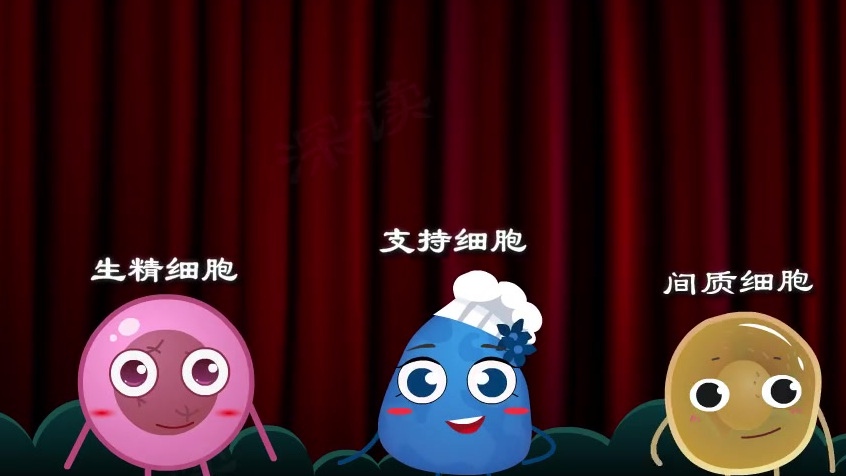 #健康中国2030# 睾丸炎2【蛋疼红肿别大意!搞出不育麻烦大!硬核科普睾丸炎和蛋蛋的秘密