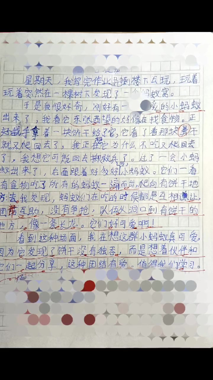 作文大全400字