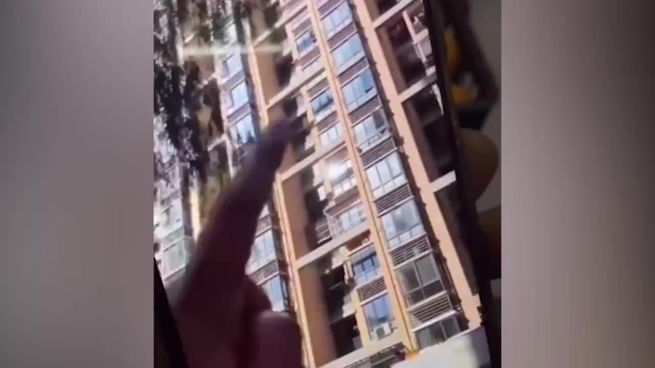 【合肥#警方通报男童被抱走后坠亡案#:嫌疑人被刑拘】据庐阳公安 消息:11月28日11时3