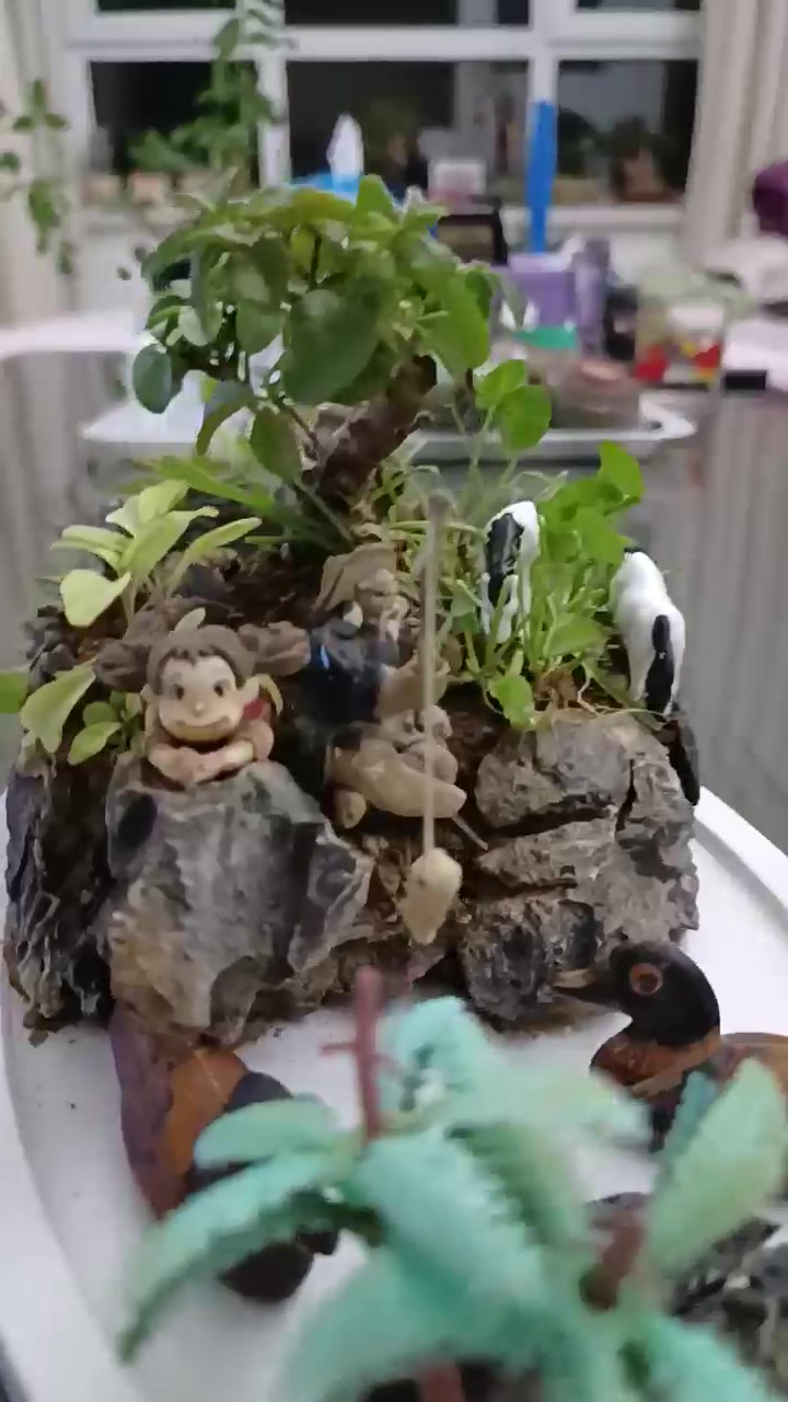 做个山石盆景,欣赏