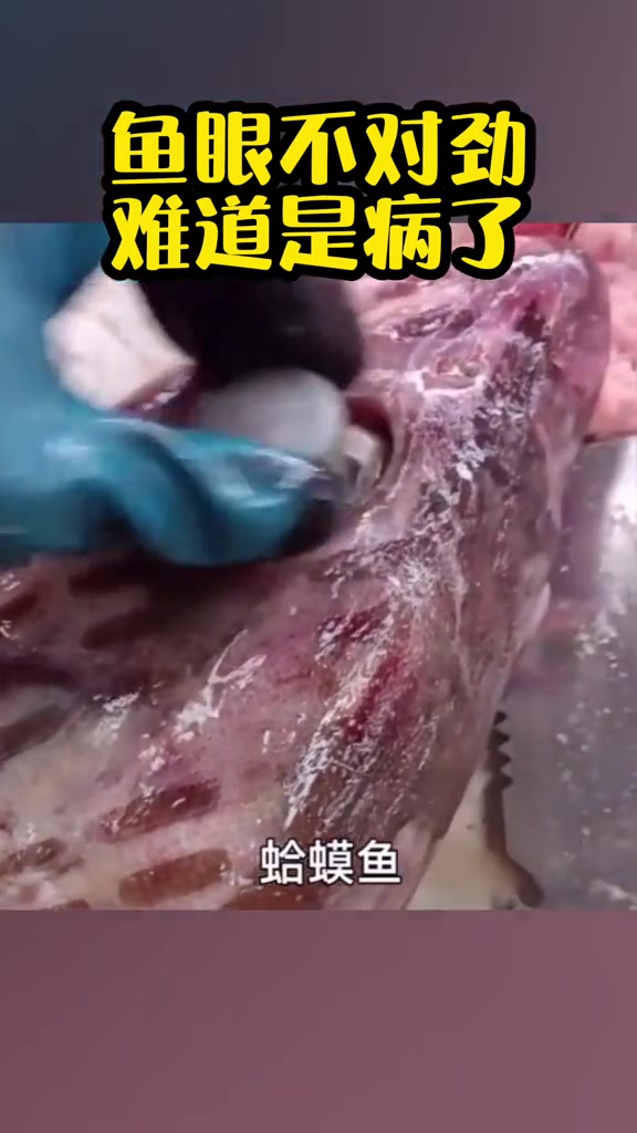 鱼眼不对劲?难道是病了?解剖后摊主直呼心疼……