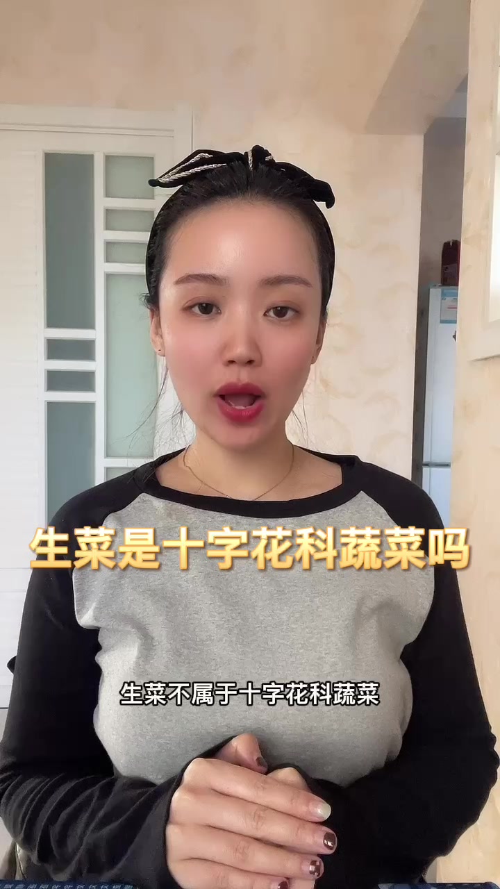 生菜是十字花科蔬菜吗