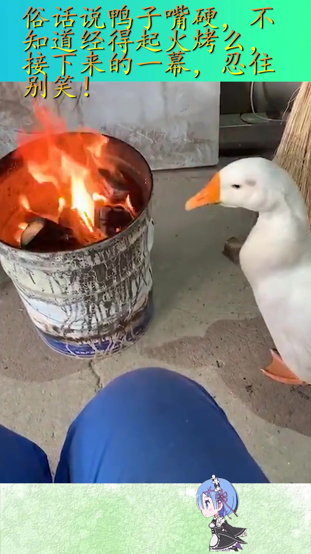 爆笑:俗话说鸭子嘴硬,不知道经得起火烤么,接下来一幕忍住别笑