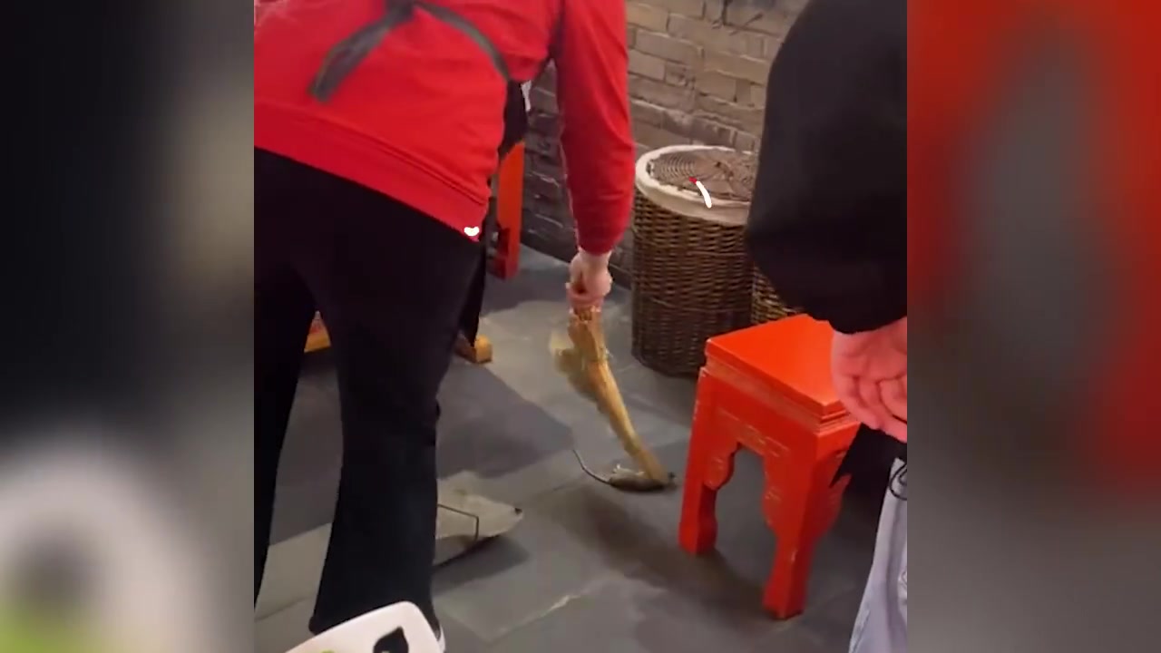 【谭鸭血就天降老鼠事件致歉:系日常消杀掉落 监管部门已全面检查未发现问题】12月6日,湖北