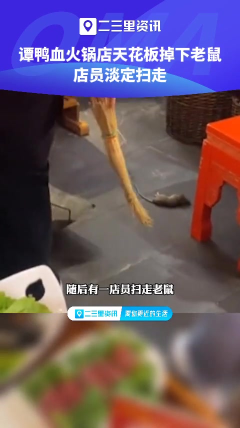 谭鸭血火锅店掉下老鼠店员淡定扫走 谭鸭血老火锅 火锅店天降老鼠服务员淡定扫走 二三里视频快