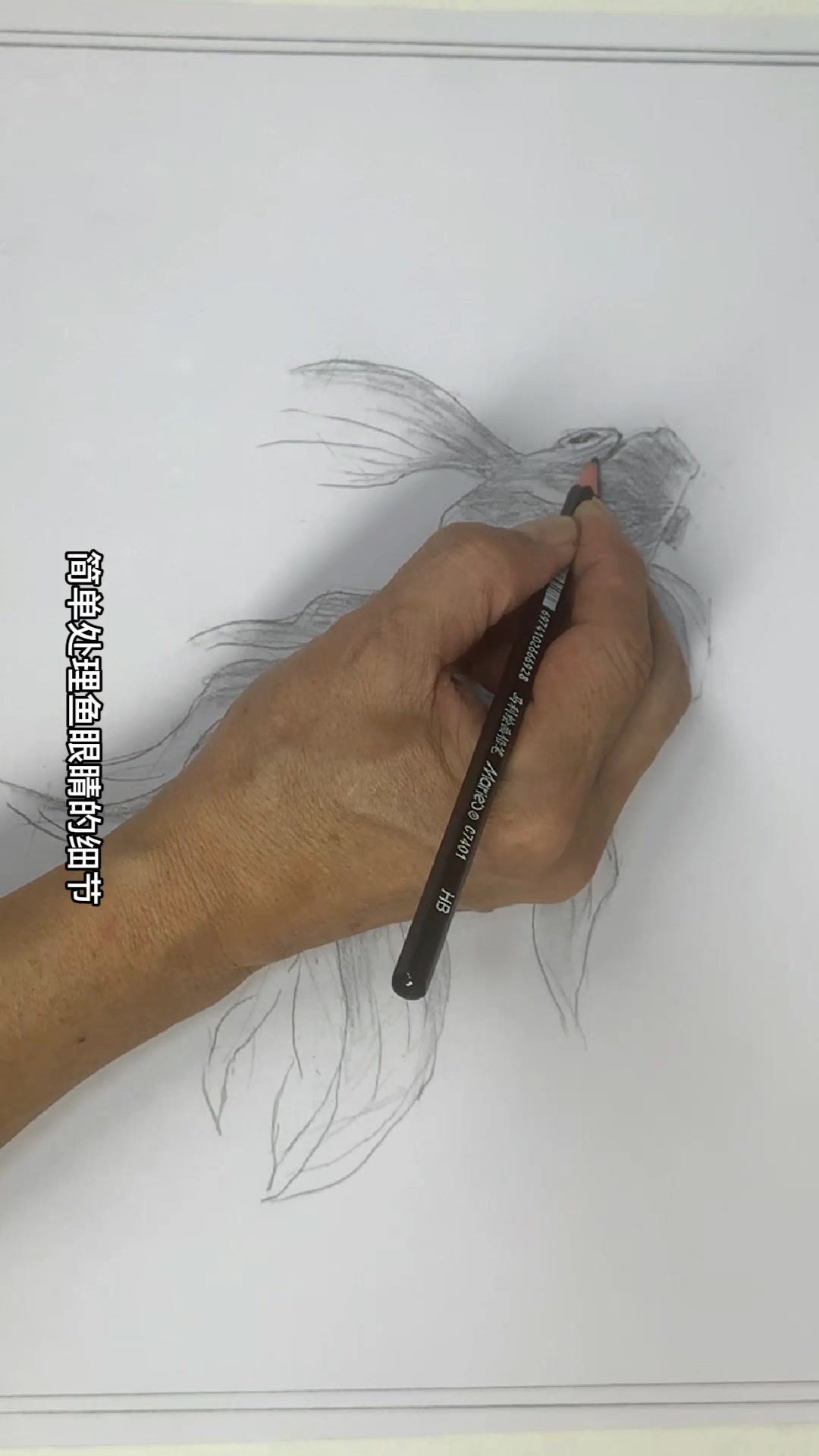 素描绘画教学1金鱼