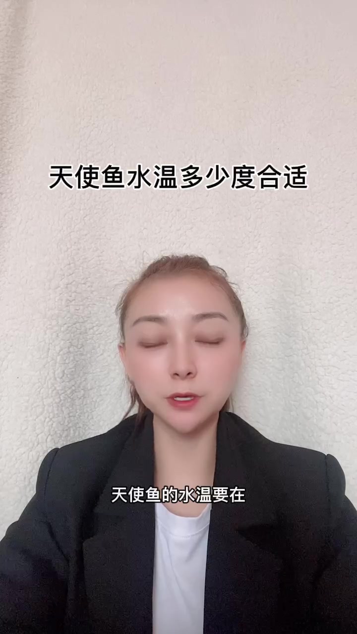 天使鱼水温多少度合适